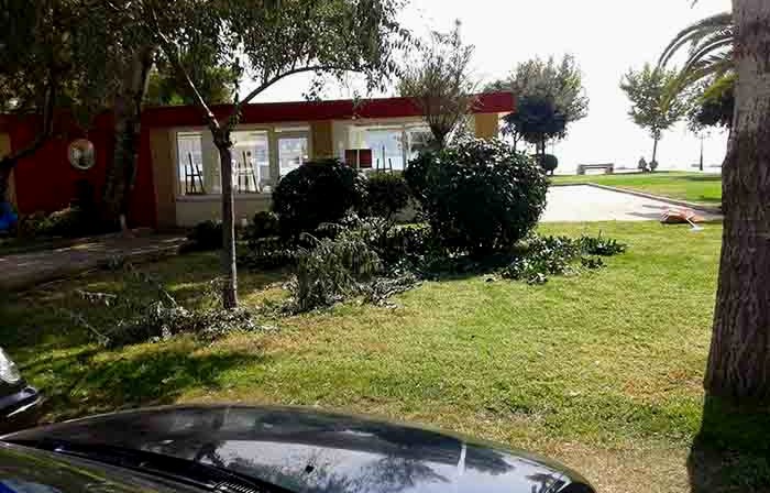 ΚηποΤεχνία στη Βάρκιζα από την Νέα Δημοτική αρχή Νέα,Δημοτική,αρχή,ΚηποΤεχνία,Βαρκιζα,εντολή,,Κωνσταντελλου,πάρκινγκ,Βάρκιζα,Δήμος,Βάρης, Βούλας,Βουλιαγμένης,