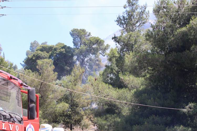Μεγάλη φωτιά στη Βουλιαγμένη (φωτο),NEA EIDHSES -ΝΕΑ ΕΙΔΗΣΕΙΣ ΕΛΛΑΔΑ ελλάδα, odhgos,agoras,οδηγος αγορας,media, νέα κρίση,on line, νοτος, νετ, notos,net, notosnet,Βούλα, Βουλιαγμένη, Βάρη, ΒΒΒ, 3Β, βαρκιζα,παραλιακή, παραλία, νότια, προάστια, άρθρα, Δημοκρατία,ειδήσεις,